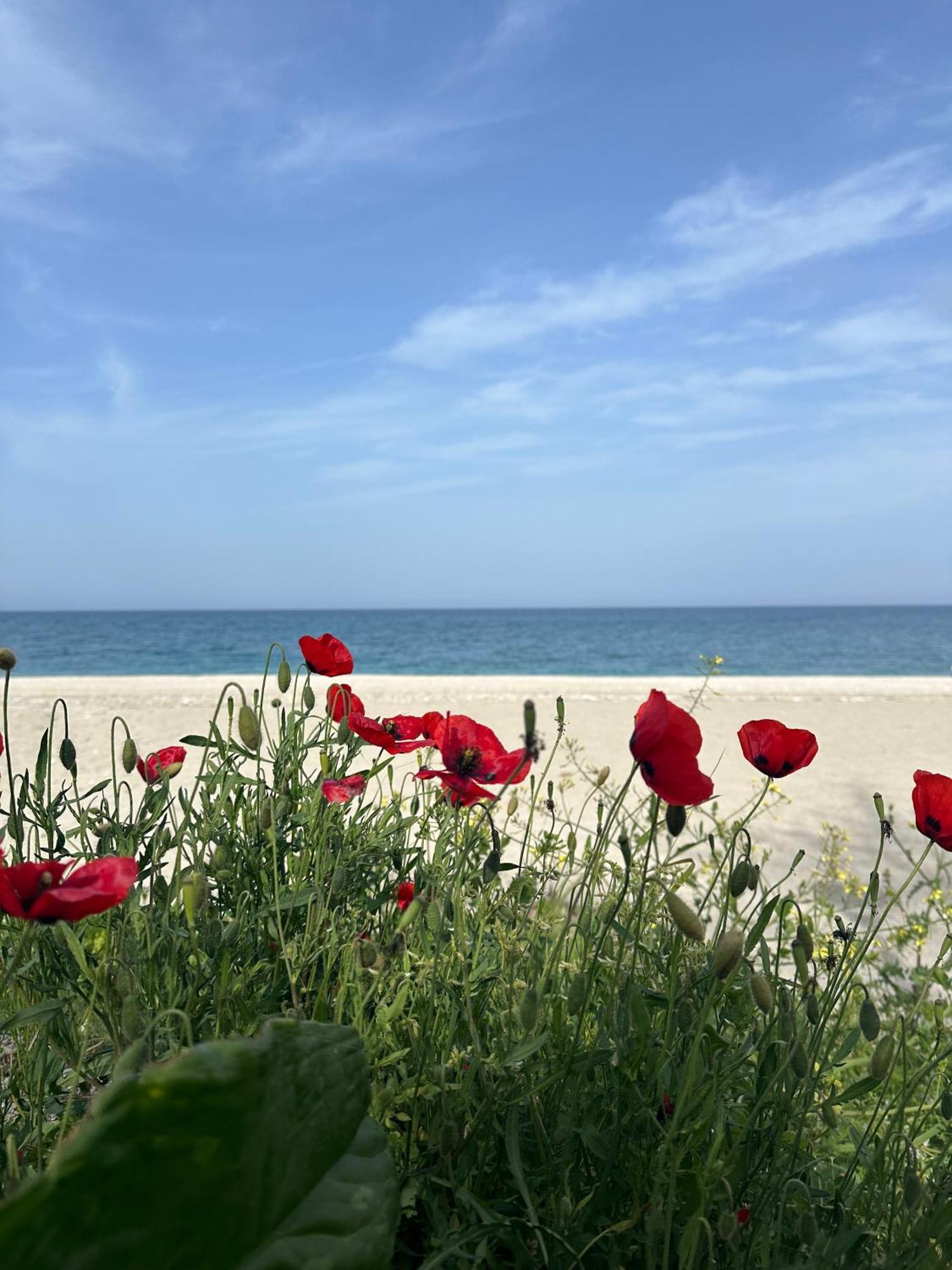 Amelia Beach Apartments Agios Ioannis  外观 照片